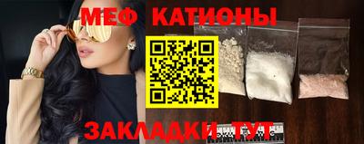 шишки Кингисепп
