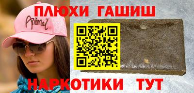 шишки Кингисепп